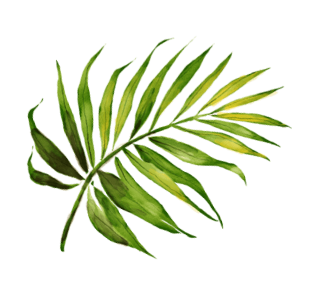 Leaf Image